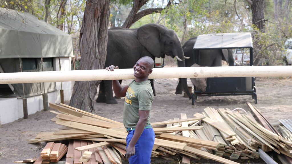 Building Nambwa lodge with elephants in camp