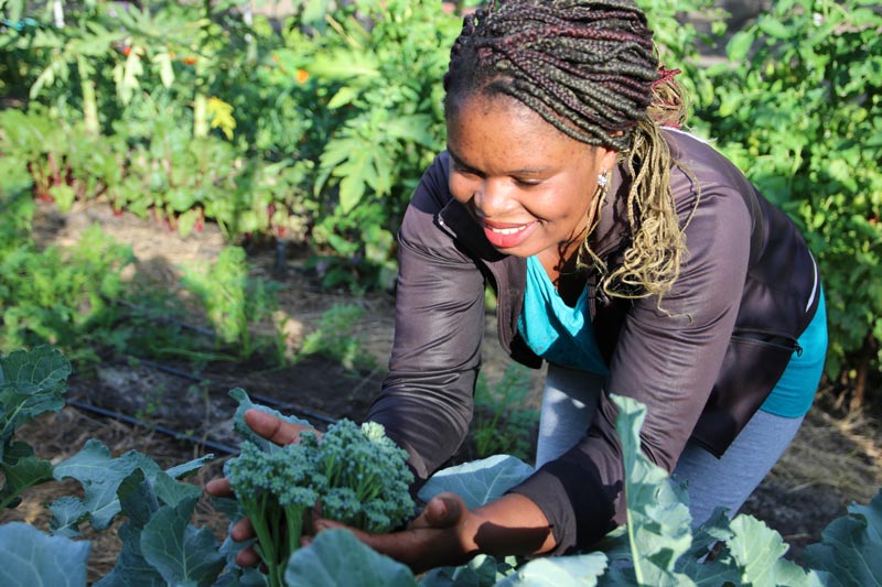 growing food at the permaculture plant