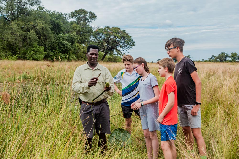 guide teaching four children about local flora