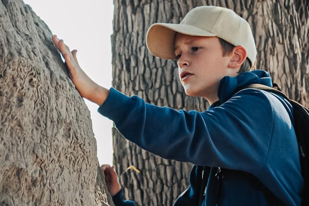 child learning about local trees