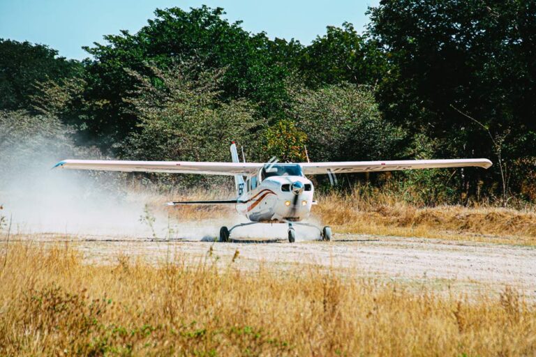 plane landing in feld