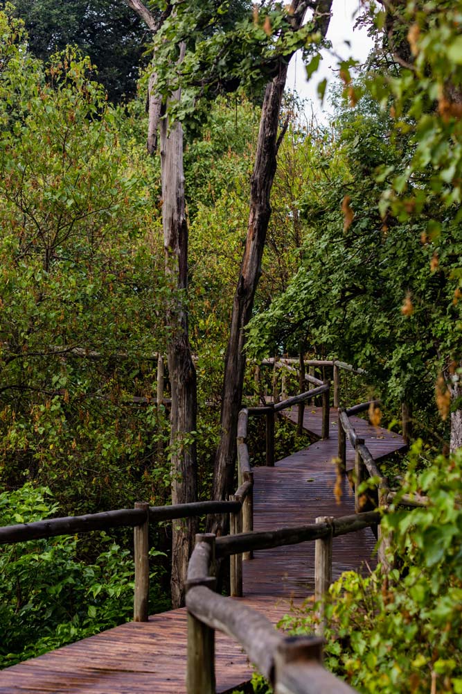 walkway at Nambwa Tented Lodge