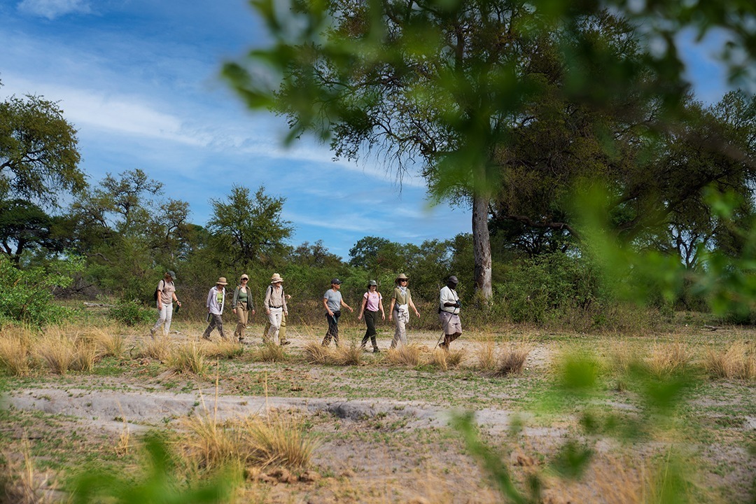 African-Monarch-Lodges-Bush-Walk