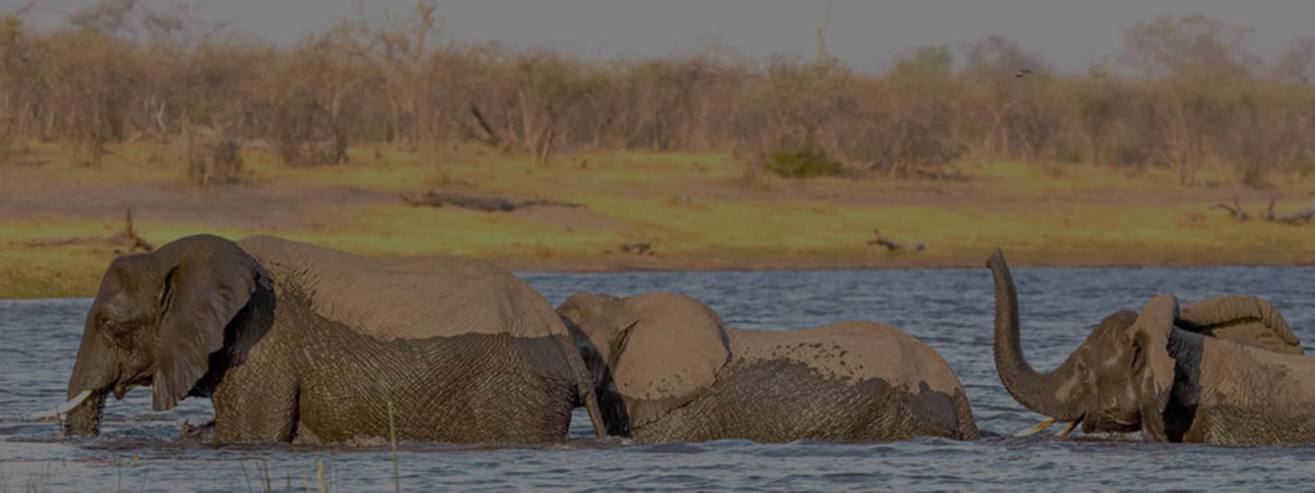 Kwando River