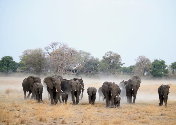 Nambwa Tented Lodge