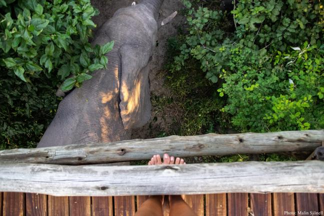 Nambwa Tented Lodge