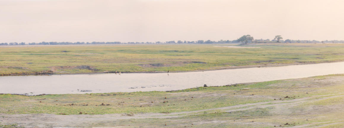 Ngoma Safari Lodge