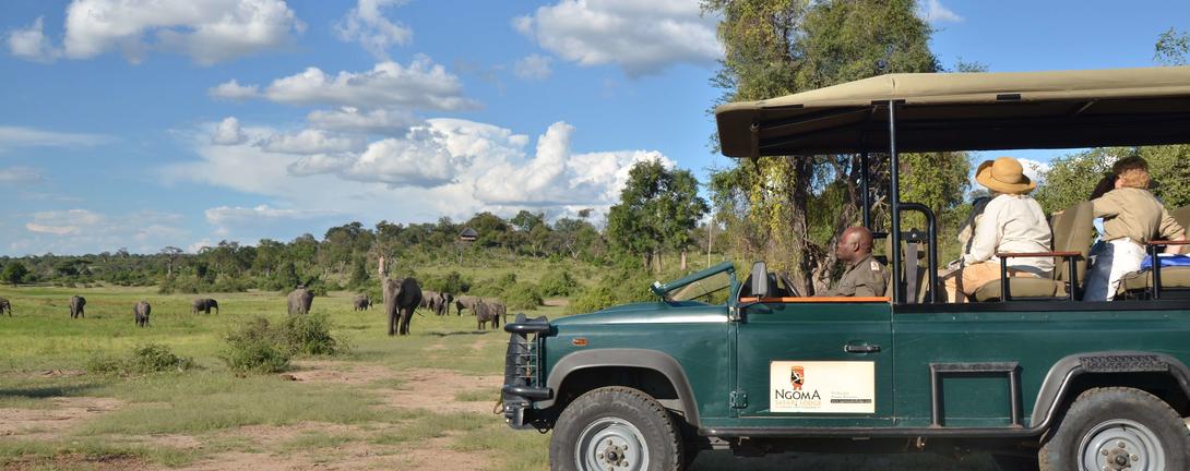 Ngoma Safari Lodge