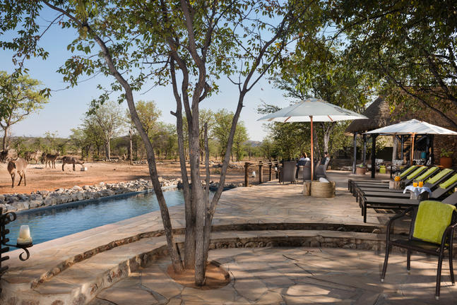 Ongava Tented Camp