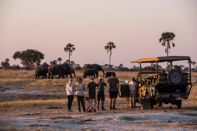 The Hide Safari Camp