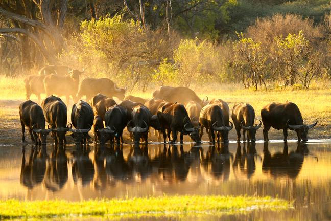 The Hide Safari Camp