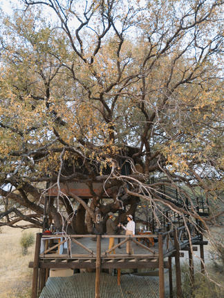 The Hide Safari Camp