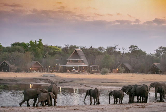 The Hide Safari Camp