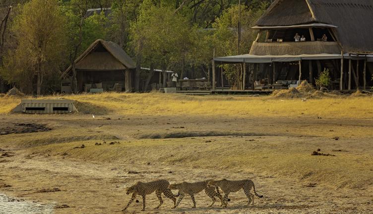 The Hide Safari Camp