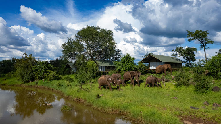 The Wallow Lodge