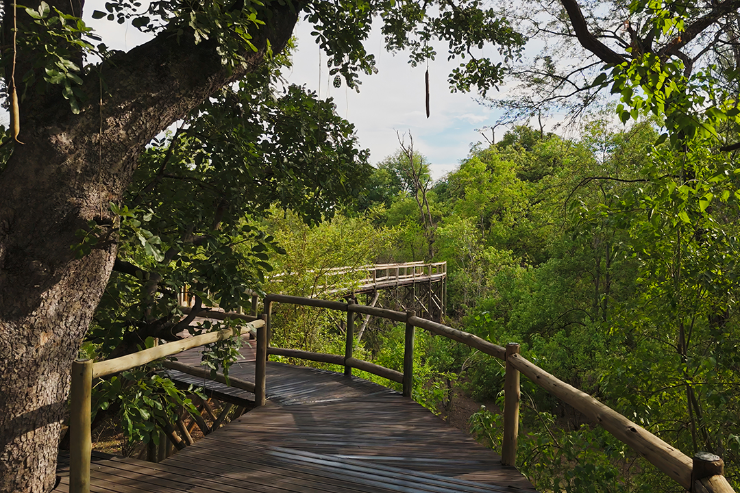 African Monarch Lodges Nambwa Tented Lodge