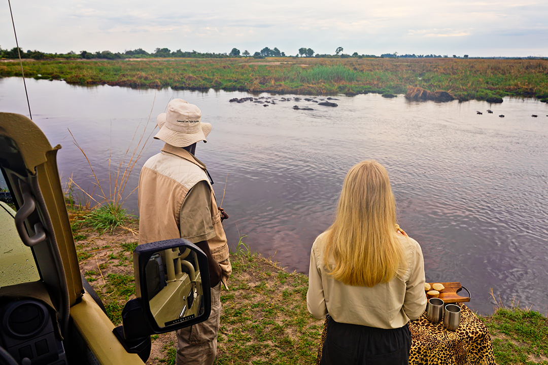 African Monarch Lodges Game Drive