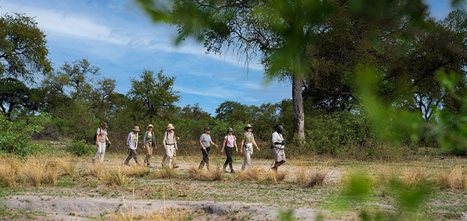 African Monarch lodges - Bush walk