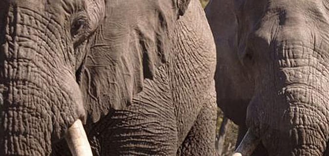 African Monarch Lodges Four Countries Tour