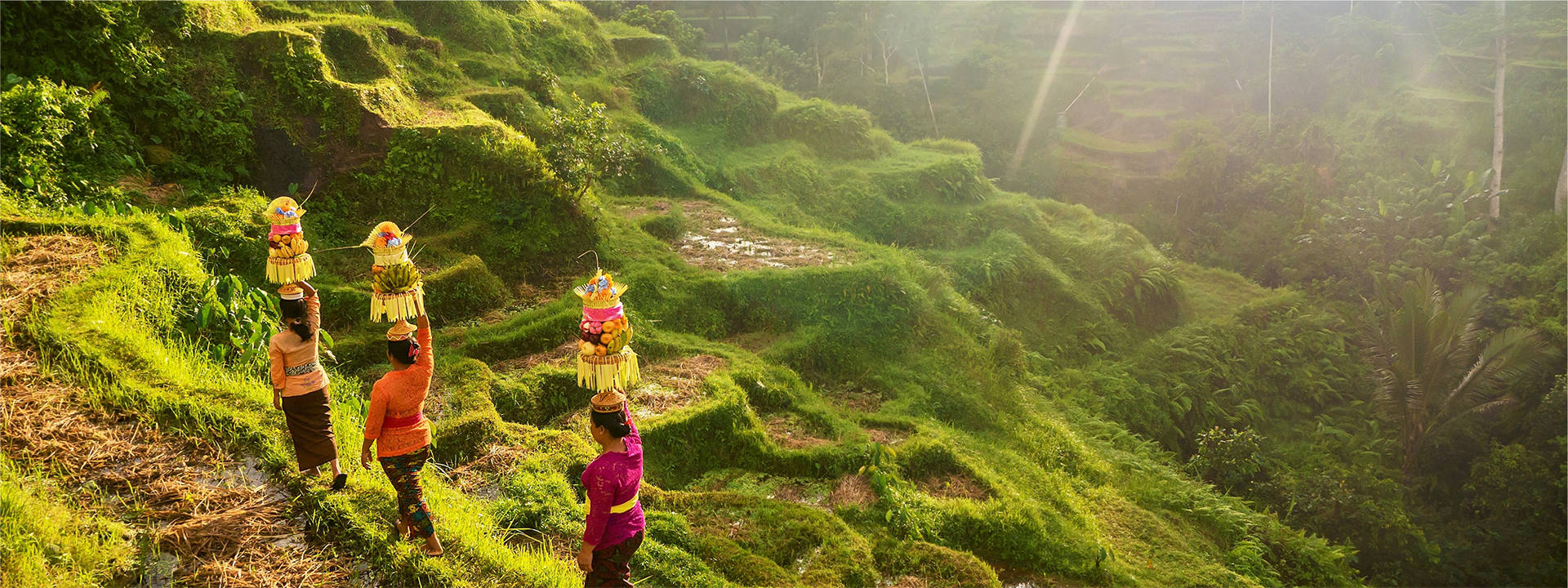 Ignite Your Soul Retreat in Bali