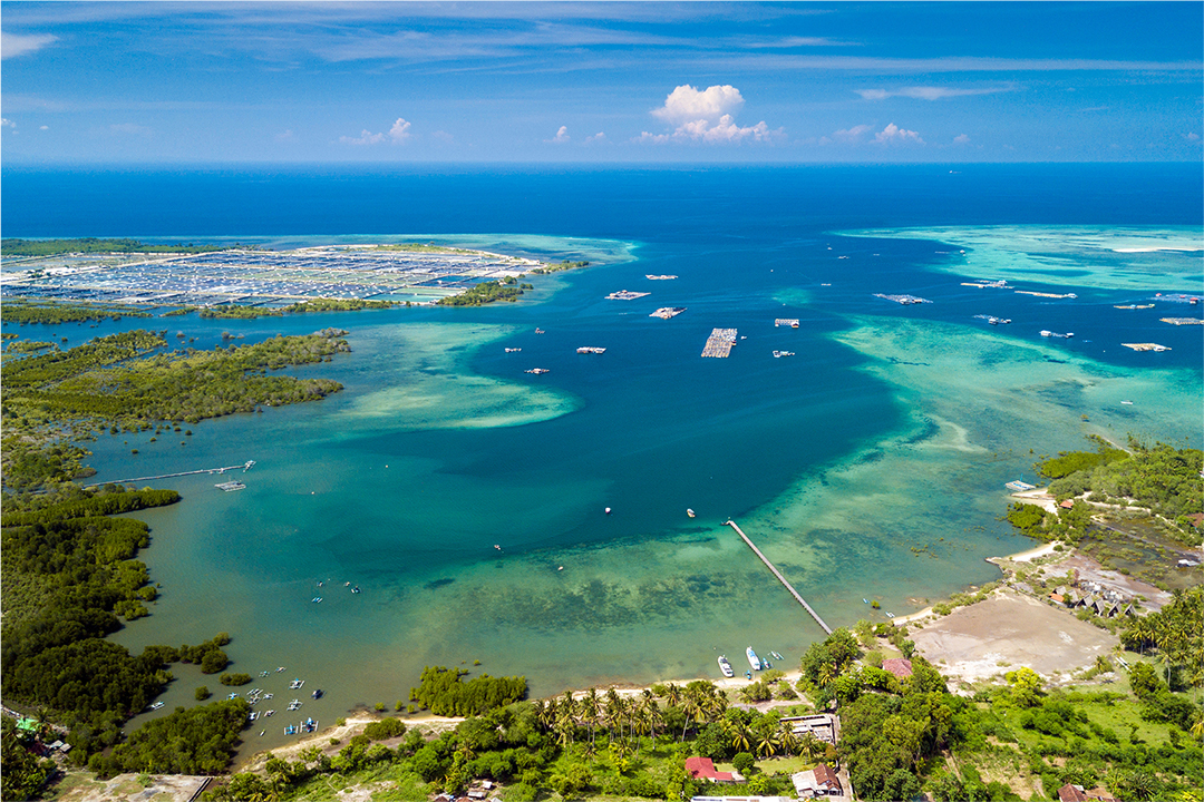 Ignite Your Soul Retreat in Bali