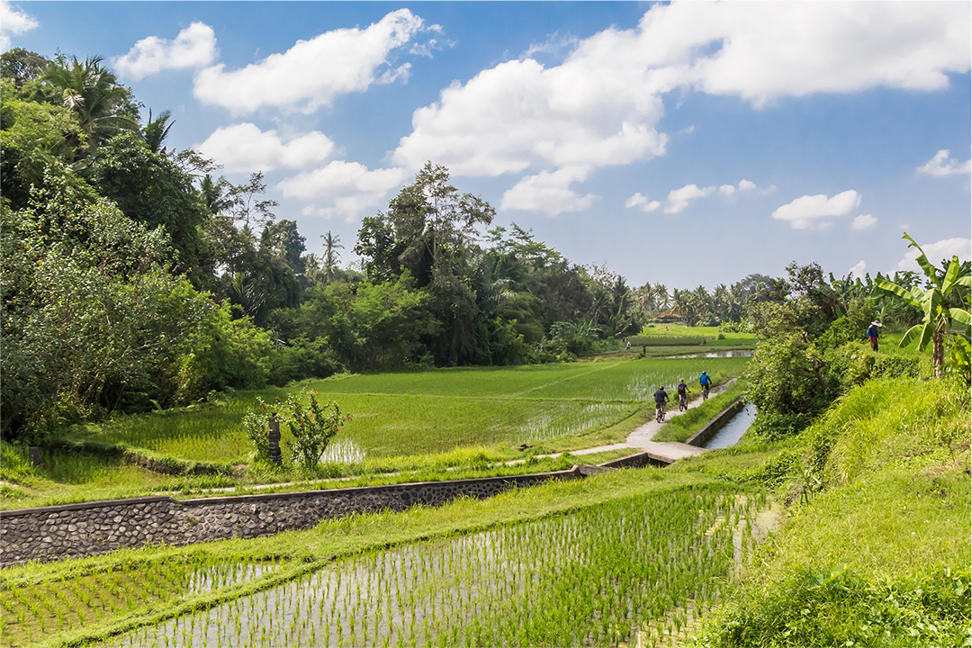 Ignite Your Soul Retreat in Bali